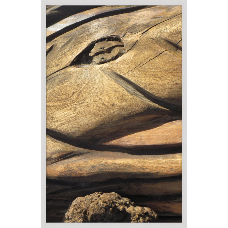 «Natural Texture Series 1», reproduction de photo sur verre encadrée