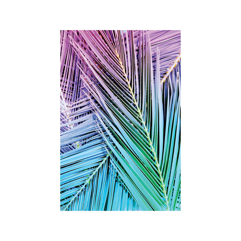 Rainbow Posey by Honeymoon Hotel - Wrapped Canvas Print, 30.48 cm H x 45.72 cm W