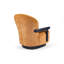 Infinity Modern Armchair