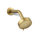 Awaken G90 Flood Fixed Shower Head
