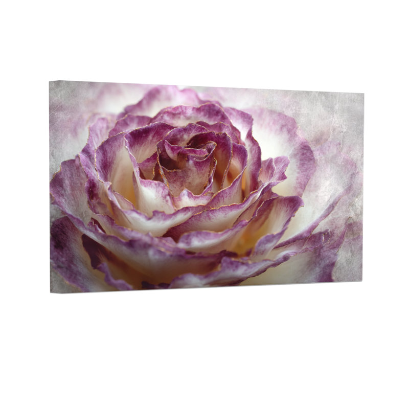 Plantes et fleurs, motif floral mauve et blanc, H 32 po x l 48 po