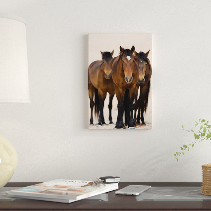Reproduction de photo sur toile, H 12 po x l 8 po x P 0,75 po, Toile tendue, Pas de tapis