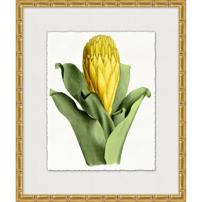 Sunny Botany 1 Painting