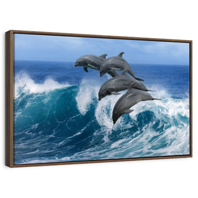 Dauphins à Hawaï
