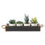 4 - Piece Artificial Succulent Plant in Planter Set