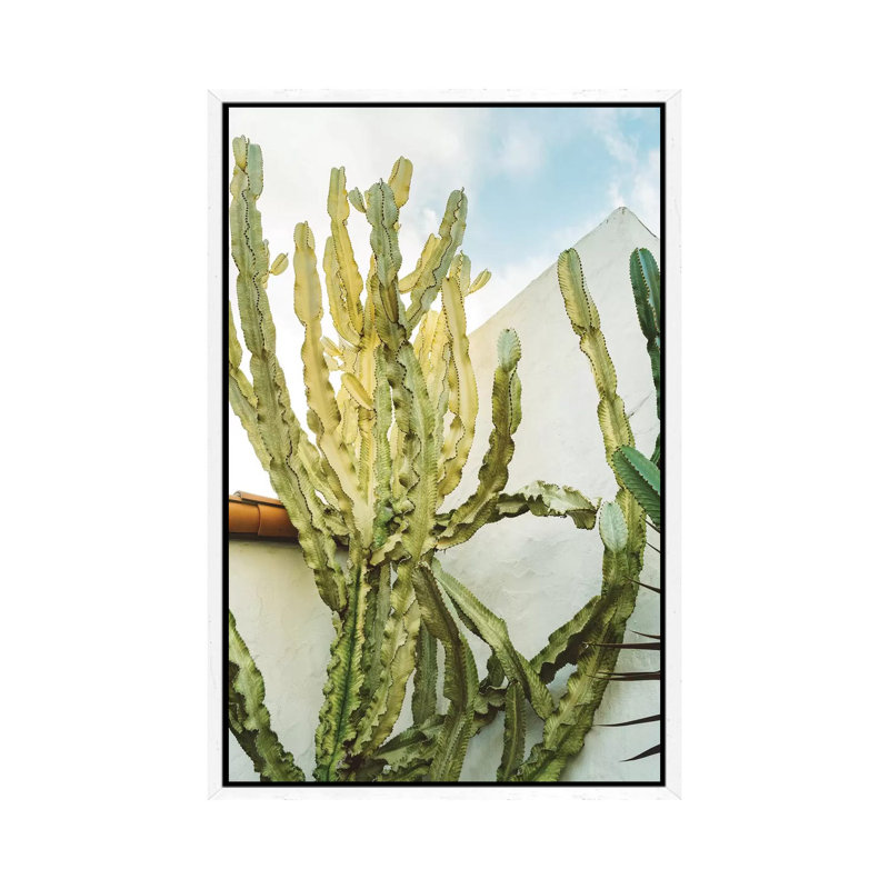 California Cactus by Bethany Young - Print on Canvas, 101.6cm H x 66.04cm W x 3.81cm D, White Framed