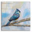 «Titmouse» par Jeanette Vertentes