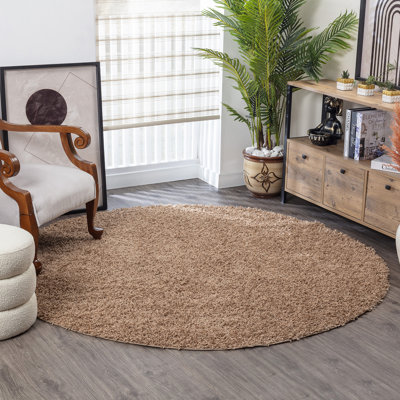 Shag Area Rug