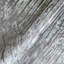 Gala Silver