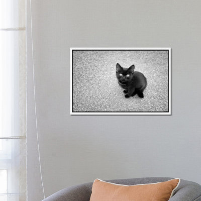 Just A Baby by Ben Heine - Print on Canvas