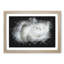 White Rose - Picture Frame Graphic Art Print-56863684-56863685