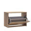 Baneen 8 Pair Shoe Storage Cabinet
