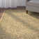 Pharrell Performance Oriental Rug