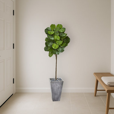 Fiddle Leaf Artificial Tree in Cement Planter