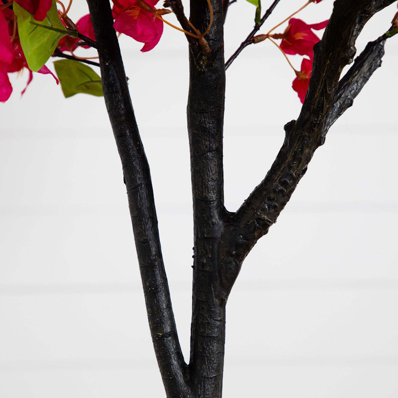 72 Bougainvillées