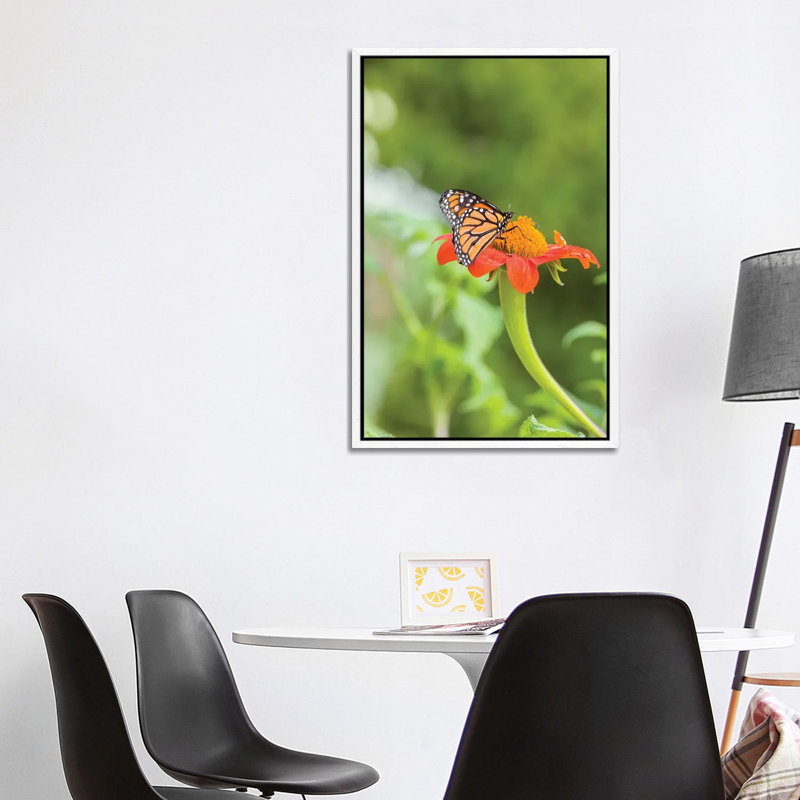 Joyful III by Faith Evans-Sills - Gallery-Wrapped Canvas Giclée on Canvas, White Framed, 101.6 cm H x 66.04 cm W