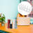 Plastic Book Holder Desktop Book Stand File Book End Decorative Book Organizer Crafted Book Holder