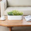 Indoor Oval White Ceramic Planter Pot with Tray