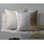 Achetez une housse et un insert de coussin carré gratuit-1425365169