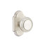 Privacy Norwich Knob with # 8 Rose
