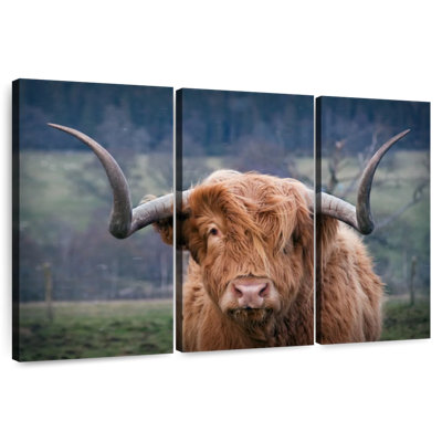 Brampt Wooly Highland Cow