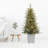 54' Lighted Christmas Tree