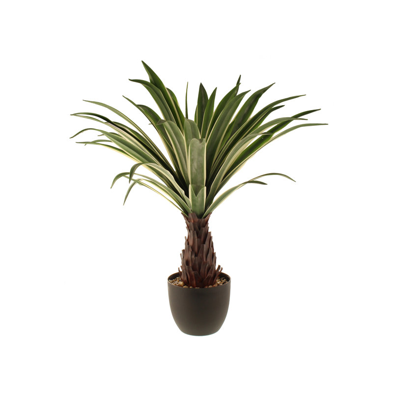 Faux Dracaena Plant in Planter, 80cm H x 50cm W x 50cm D