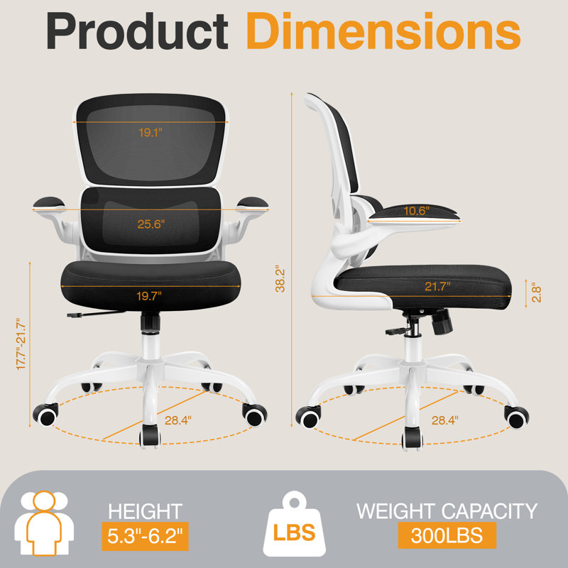 Dickens Ergonomic Mesh Task Chair, Black/White