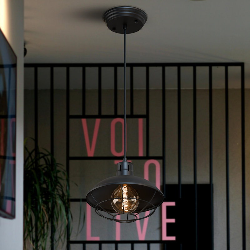 Aliyna 1 - Light Dome Pendant, Black