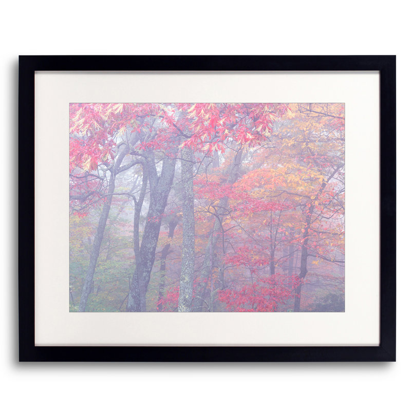 Autumn Portrait Blue Ridge Parkway #4 Print by Bruce Heinemann, Black Framed Paper, 24" H x 30" W