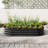 Raised Garden Bed Outdoor-937490904