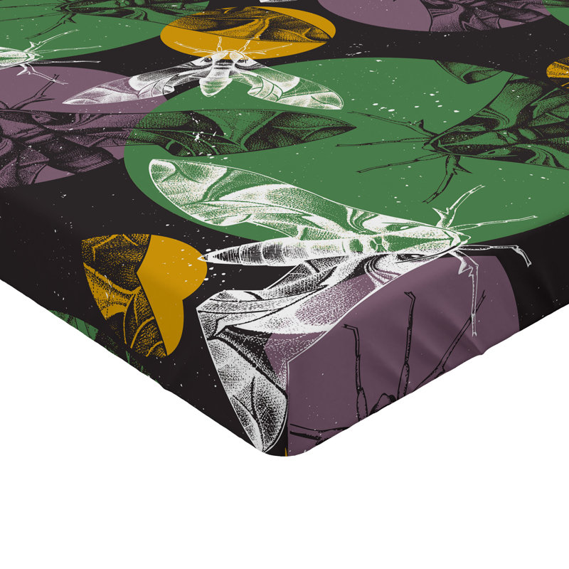 Drap-housse nature Ambesonne, Drap-housse très grand californien