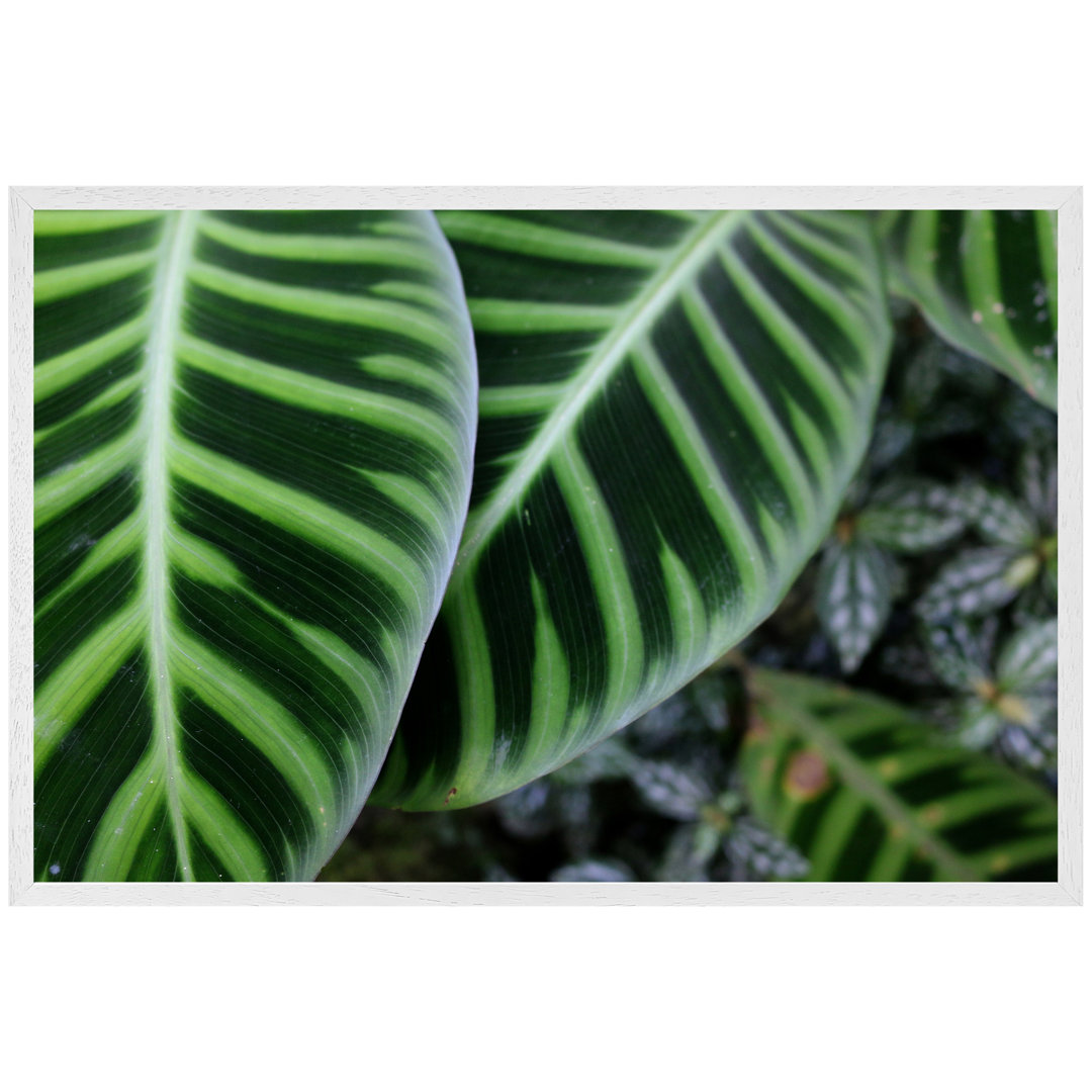 Aadyant Green Leaves With White And Yellow Structure In Exotic Jungle Setting - Single Picture Frame Art Prints