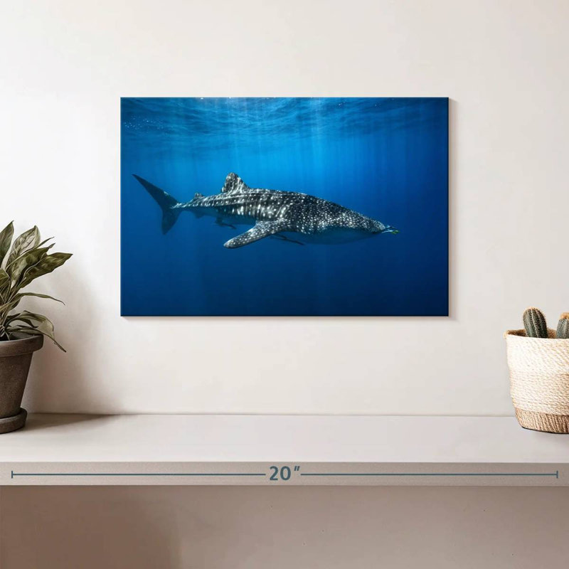 Brampt Whale Shark In The Blue, 8" H x 12" W