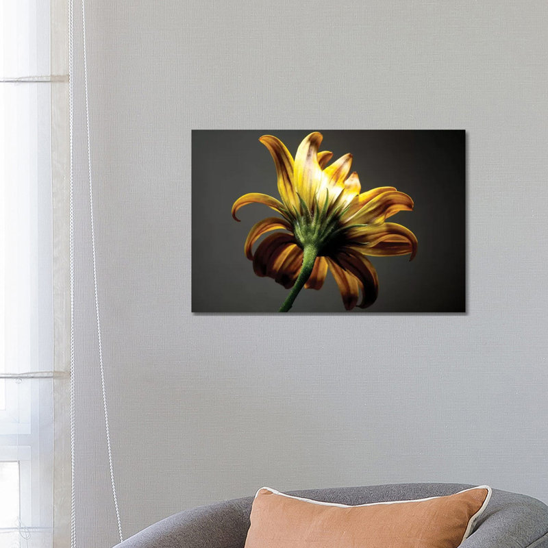 Studio Flowers III by James McLoughlin - Wrapped Canvas Print, 66.04 cm H x 45.72 cm W x 1.91 cm D