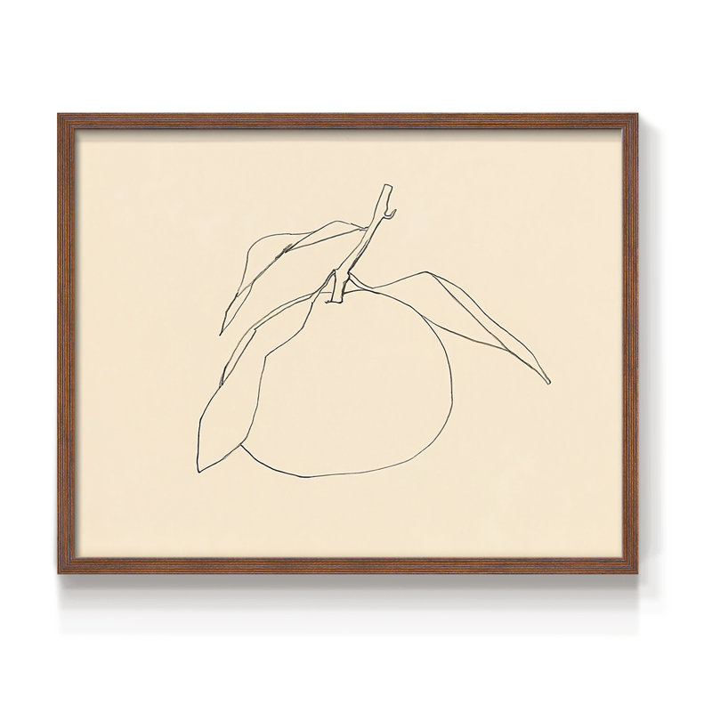 «Citrus Contour I», reproduction encadrée, Noyer, H 16 po x l 20 po