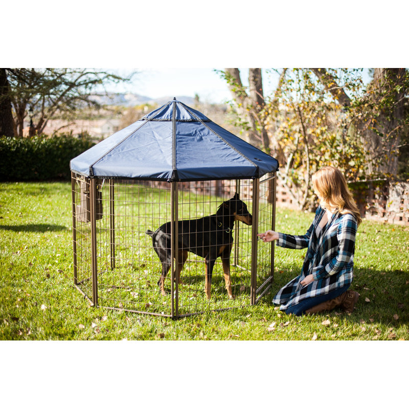 Chenil pour chien modulaire et parc pour animaux avec auvent pour animal de compagnie - enclos intérieur, extérieur et portable, 5 pi