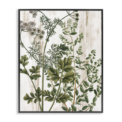 Motif de verdure botanique par Kim Allen bg-220