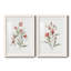 Lin botanique corail III - ensemble de 2 reproductions d'art-11592754-11592748-11592746