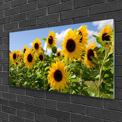Sunflowers - No Frame Print on Glass