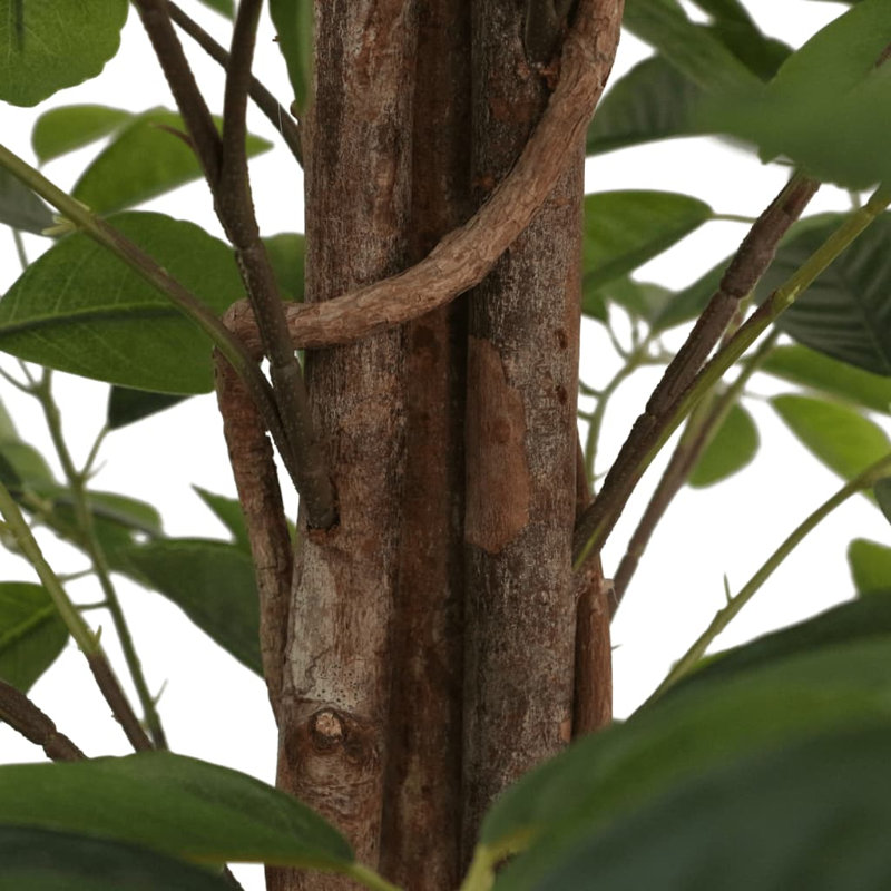  Polypropylène artificiel vert, bois d'eucalyptus, mousse