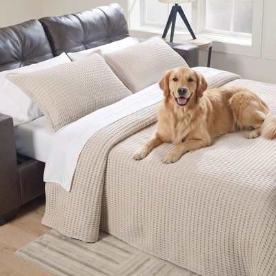 Brakefield Queen Sofa Sleeper