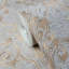 Papier peint Harper-Rose-615333981
