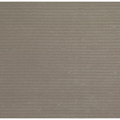 Striped Area Rug in Zebra/Gray