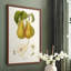 Vintage Pears V, reproduction encadrée - bois massif-242650578-242650579