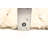 Sienna Tan Rug 5'0" x 7'10"