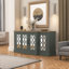 Buffet 60,7 po Chessani-1090110197