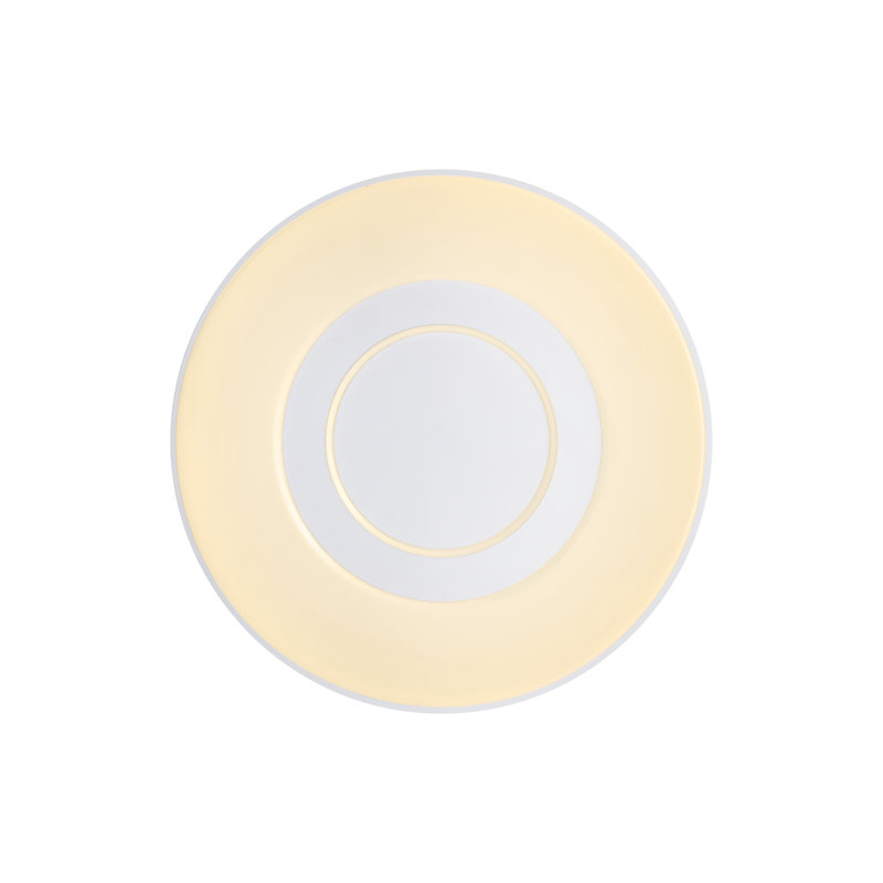 Flush Mount