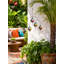 Décoration murale mobile-1315544155