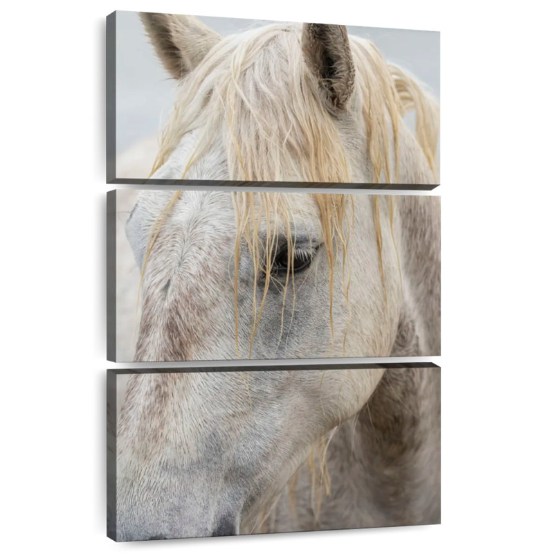 Ronce près d'un cheval blanc de Camargue I, H 74 po x l 48 po